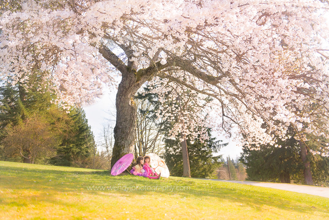 Springtime blossoms in Vancouver B.C.