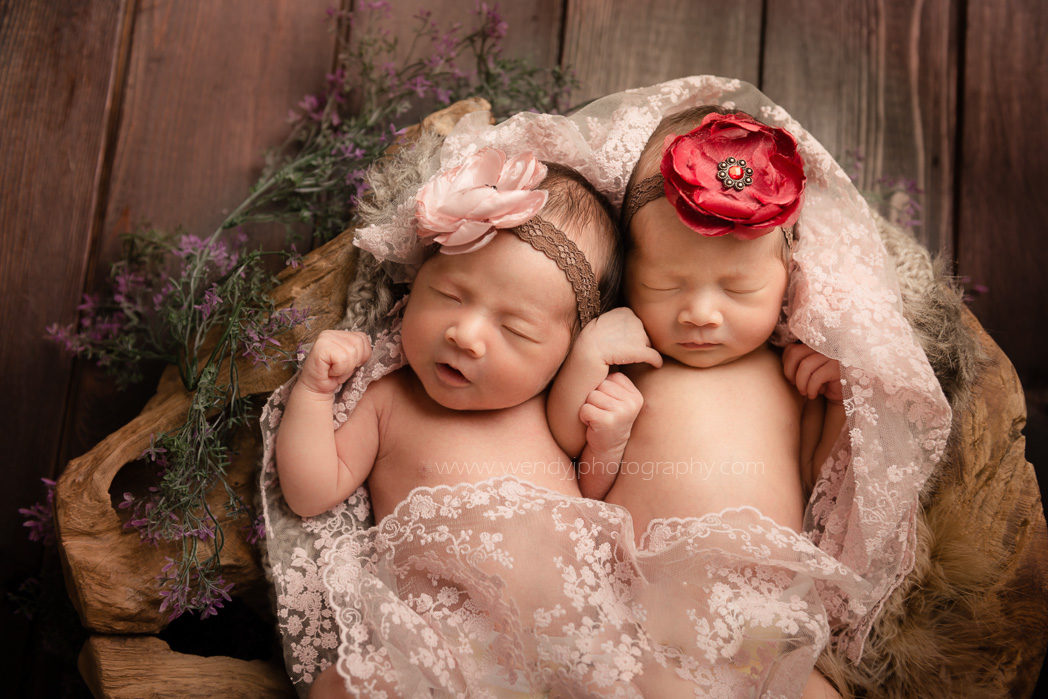 Twin girl newborns sleeping in wooden bowl. By newborn photographer Wendy J Photography, Vancouver B.C.