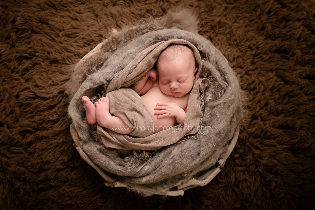 Fine art newborn baby photography by award winning Vancouver newborn photographer Wendy J.