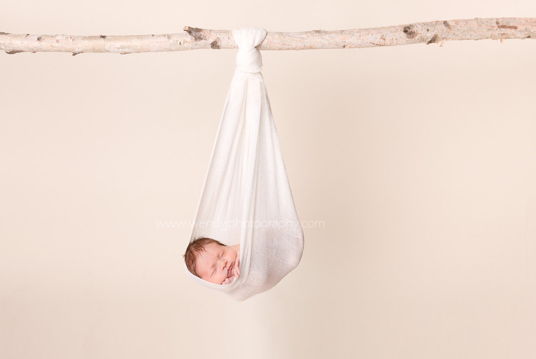 Newborn baby girl hanging from a branch.
